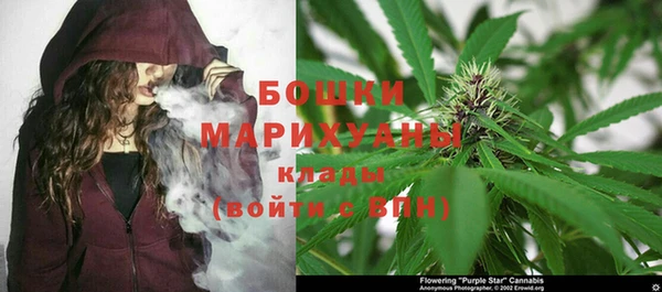 apvp Абаза