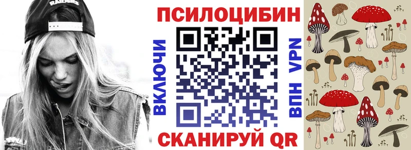 Псилоцибиновые грибы Psilocybine cubensis дарнет шоп Краснозаводск